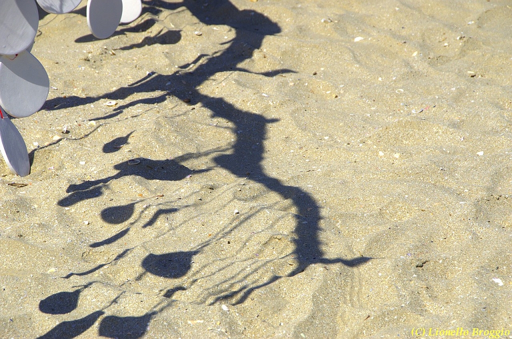 32 FESTIVAL CERVIA 2012 - 016.jpg